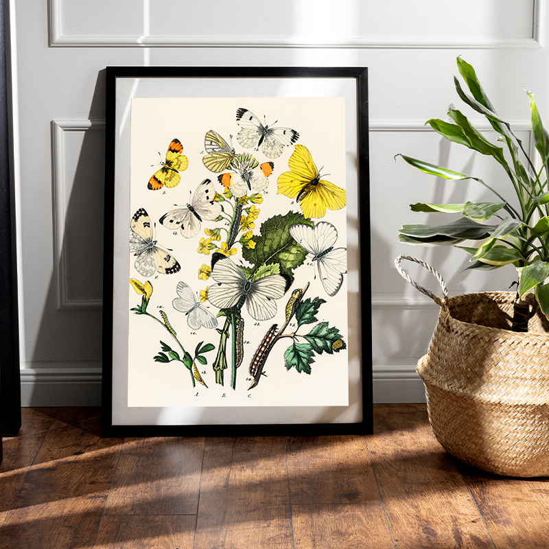 DIY Photo Framing Tips: Elevate Your Art with Srishti Art Shop